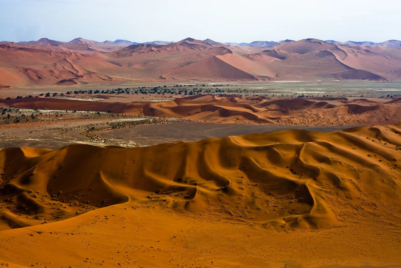Dune Elim, Namibie