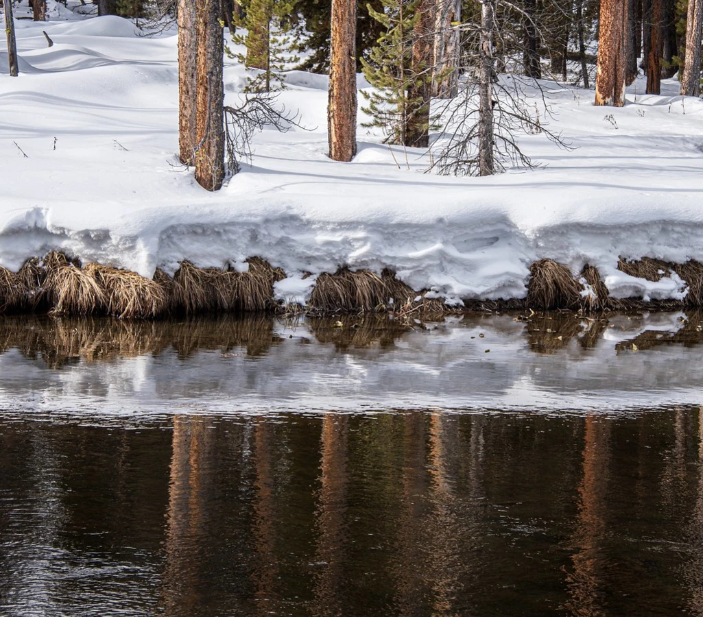 Gibbon River, États-Unis
