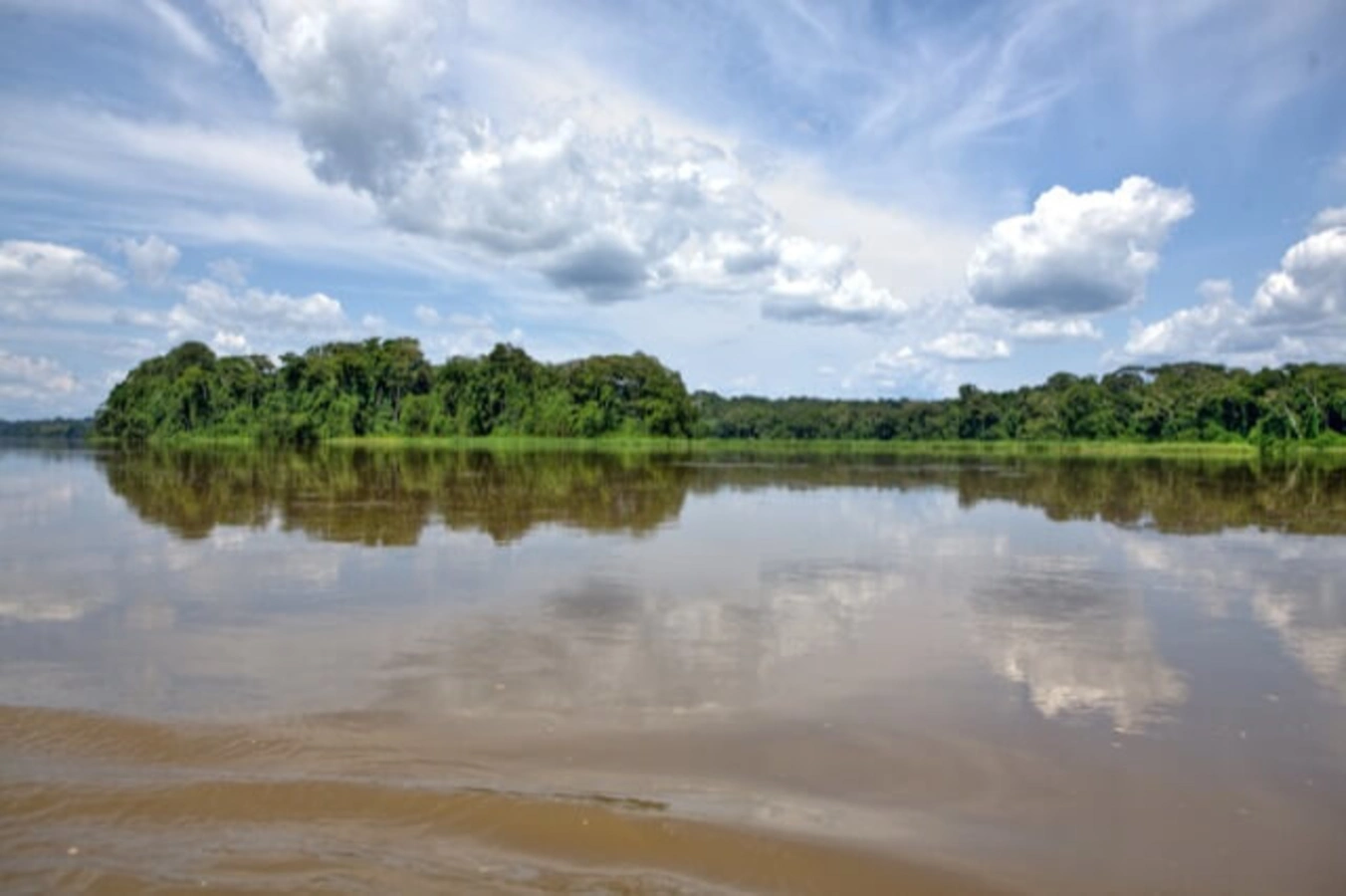 Parc national Dzanga-Ndoki, République centrafricaine