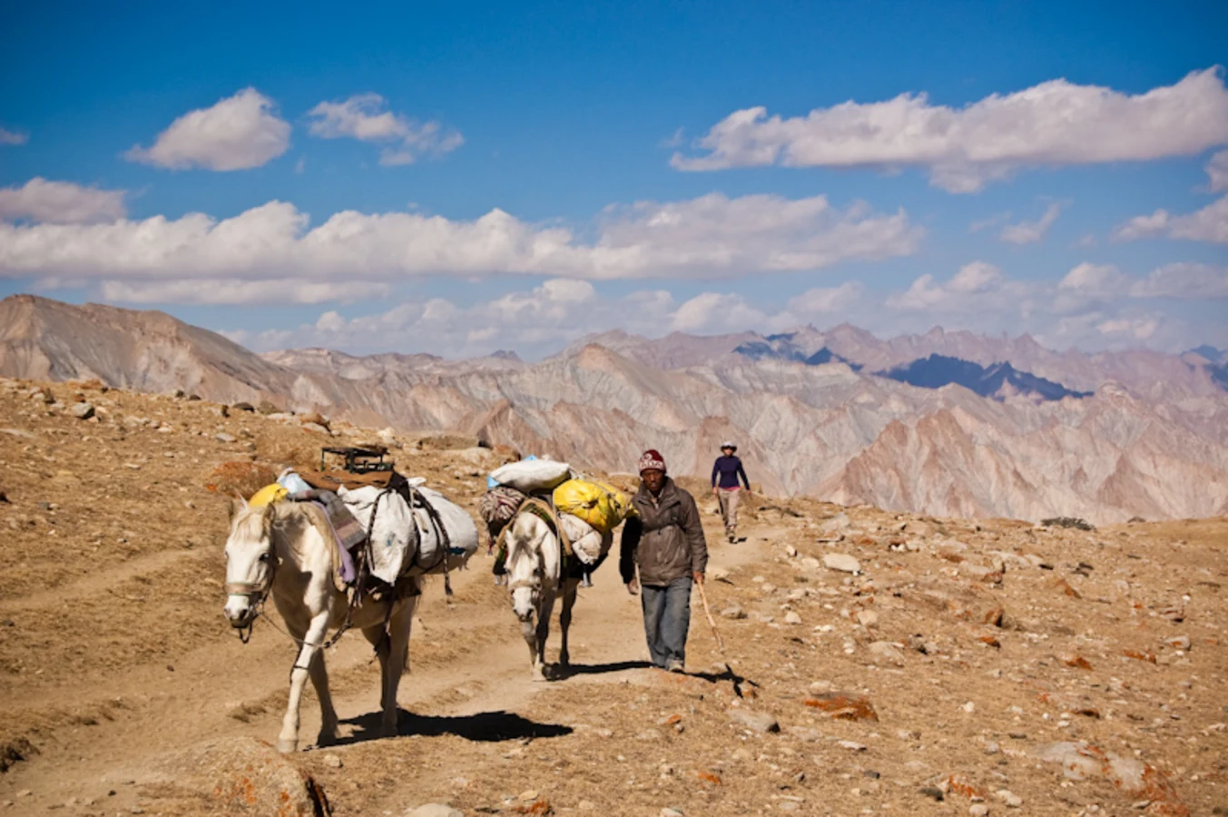 Vallée de la Markha, Inde