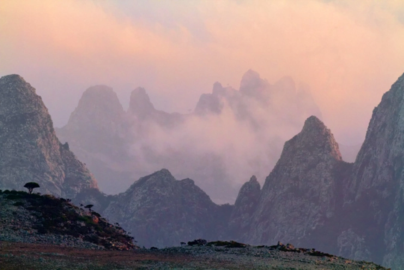 Monts Hajhir, Yémen, Socotra