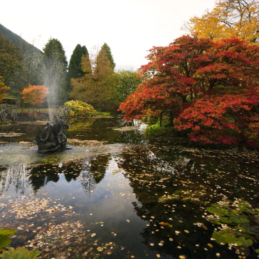 Benmore Botanic Garden, Écosse