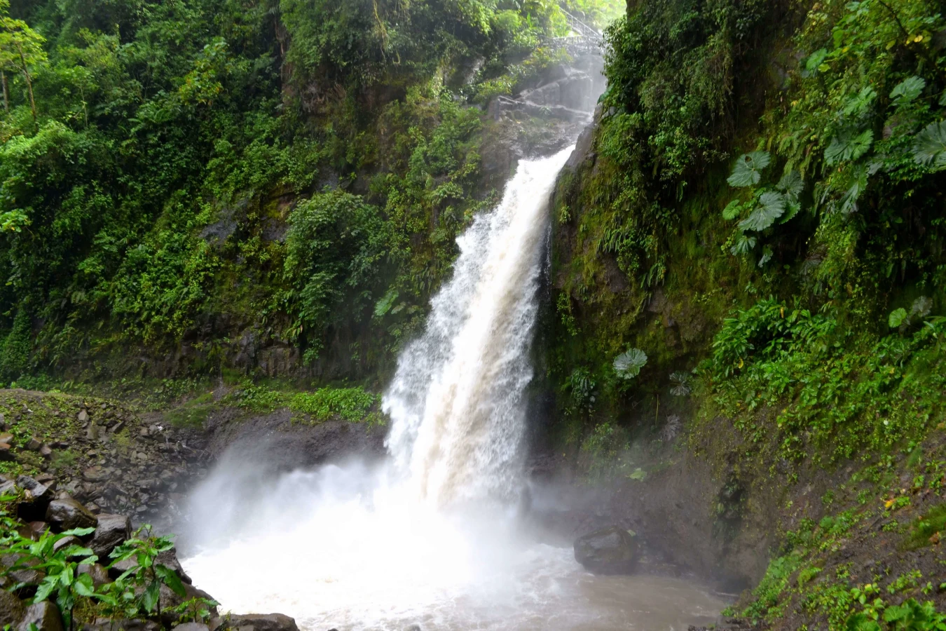 Cascade de La Paz, Costa Rica