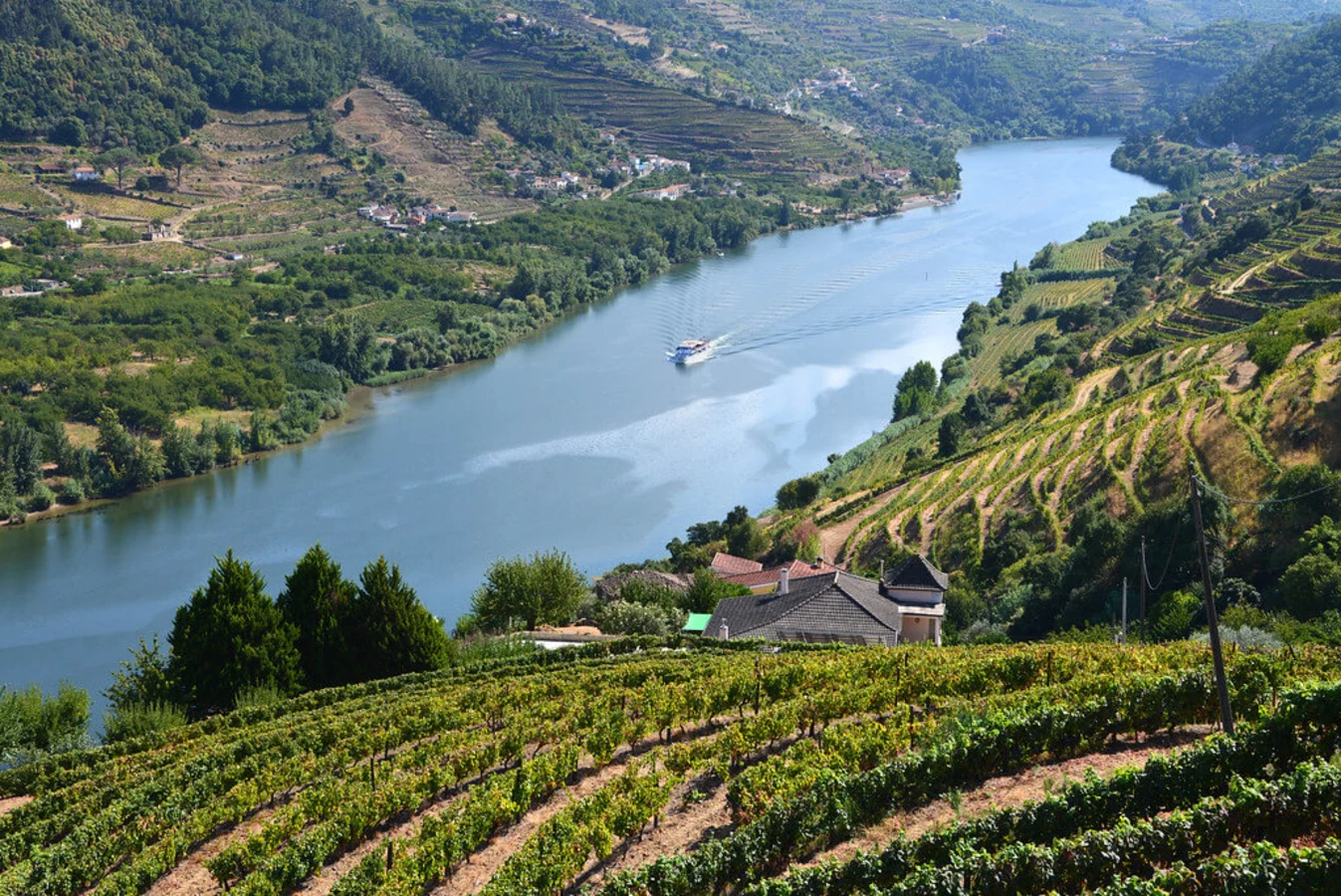Vignoble de la vallée du Haut Douro, Portugal