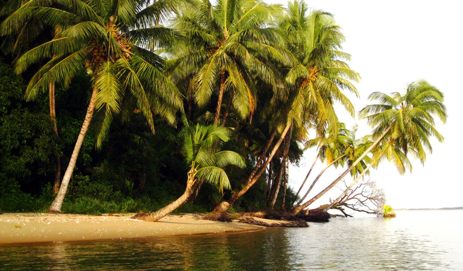 Turtle Islands, Sierra Leone