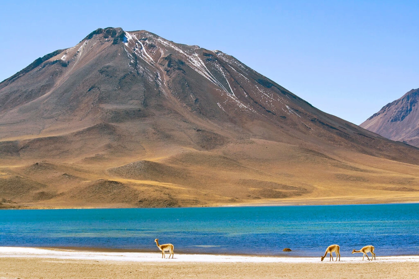 Salar de Talar, Chili