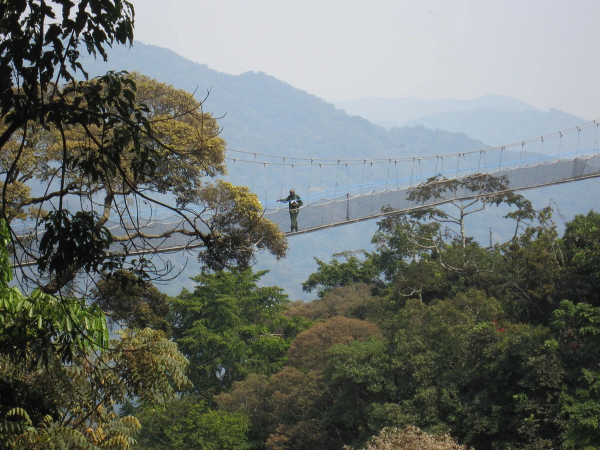 Nyungwe Canopy Walk, Rwanda