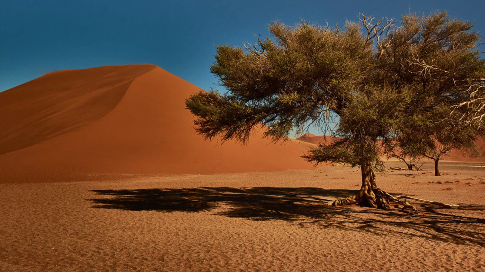 Désert du Kalahari, Botswana, Botswana, Botswana, Botswana, Namibie, Namibie, Namibie, Botswana, Afrique du Sud, Botswana