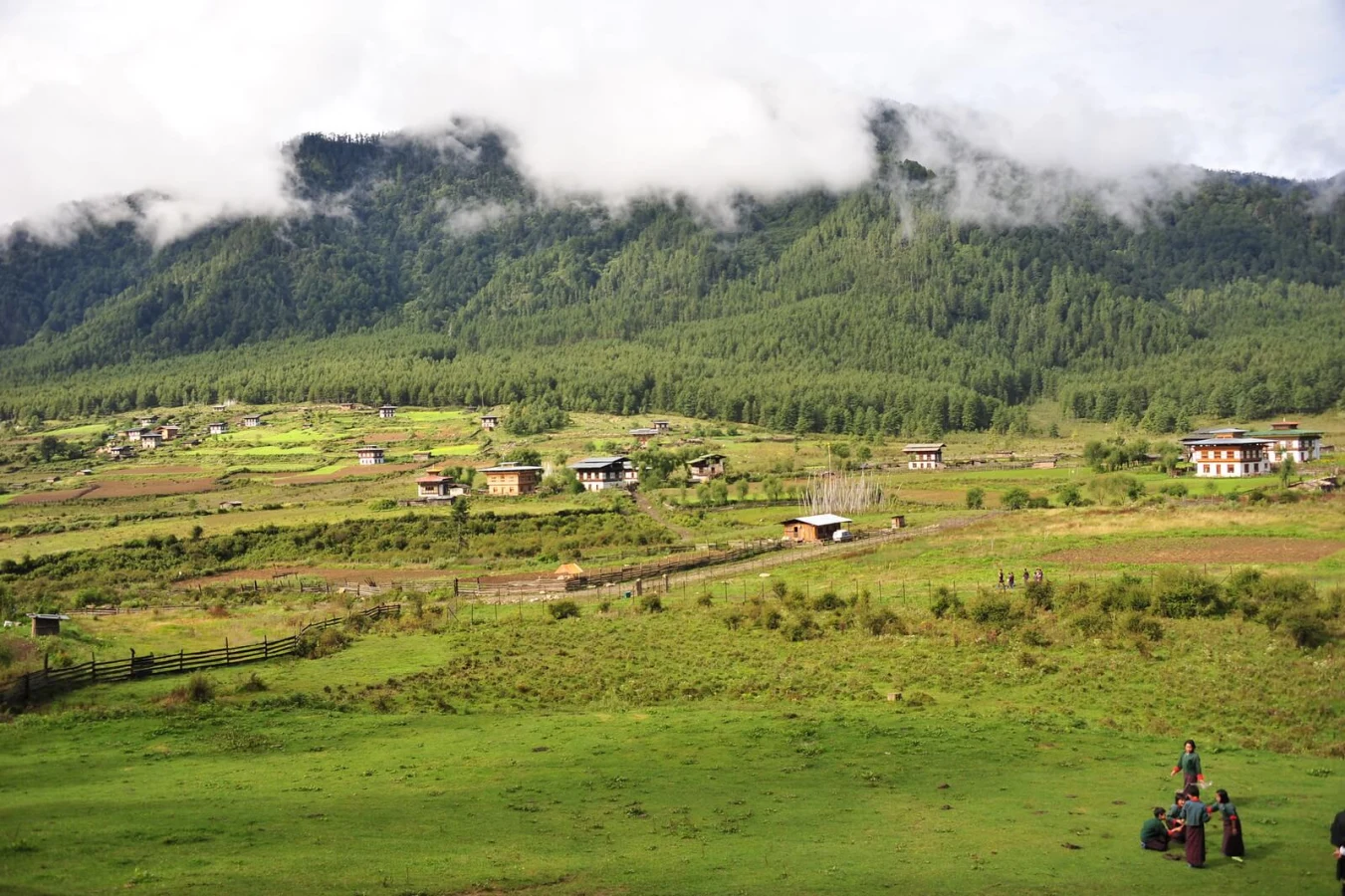 Vallée de Phobjikha, Bhoutan