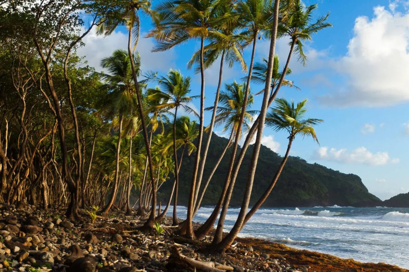 Baie de Rosalie, Dominique