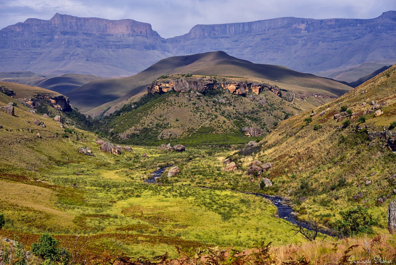 Parc du Drakensberg, Afrique du Sud