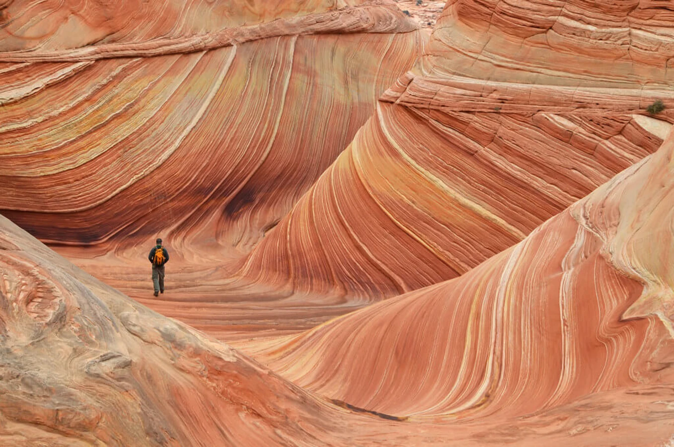 The Wave, États-Unis