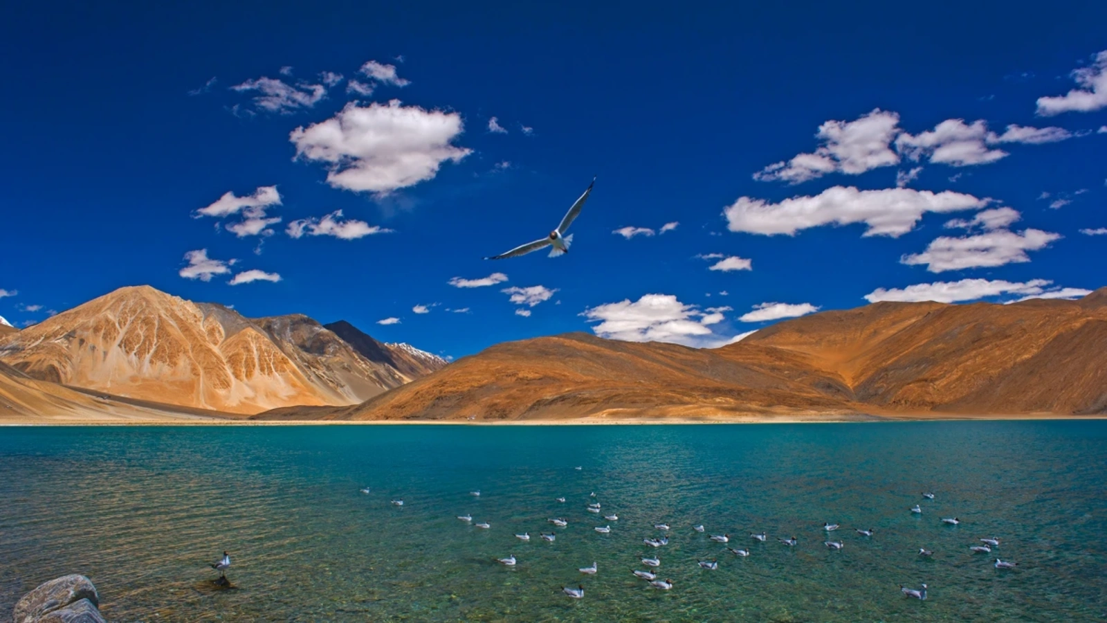 Changthang Wildlife Sanctuary, Inde