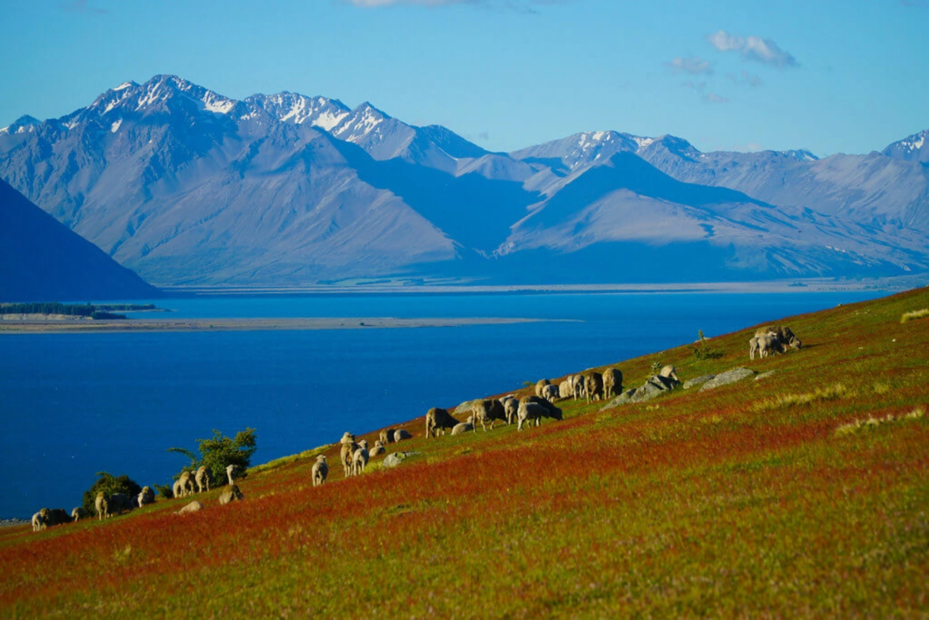 Lac Tekapo, Nouvelle-Zélande