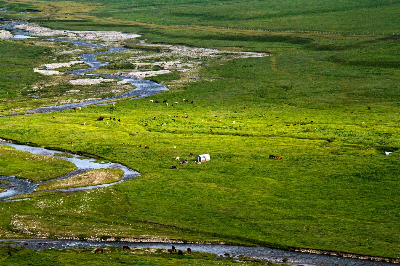 Nalati Grassland, Chine