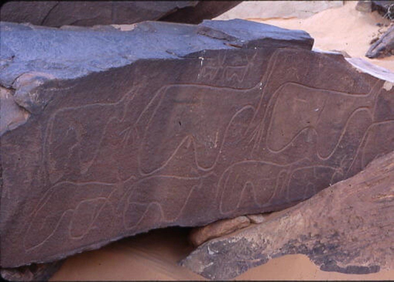 Gravures rupestres de la région de Taghit, Algérie