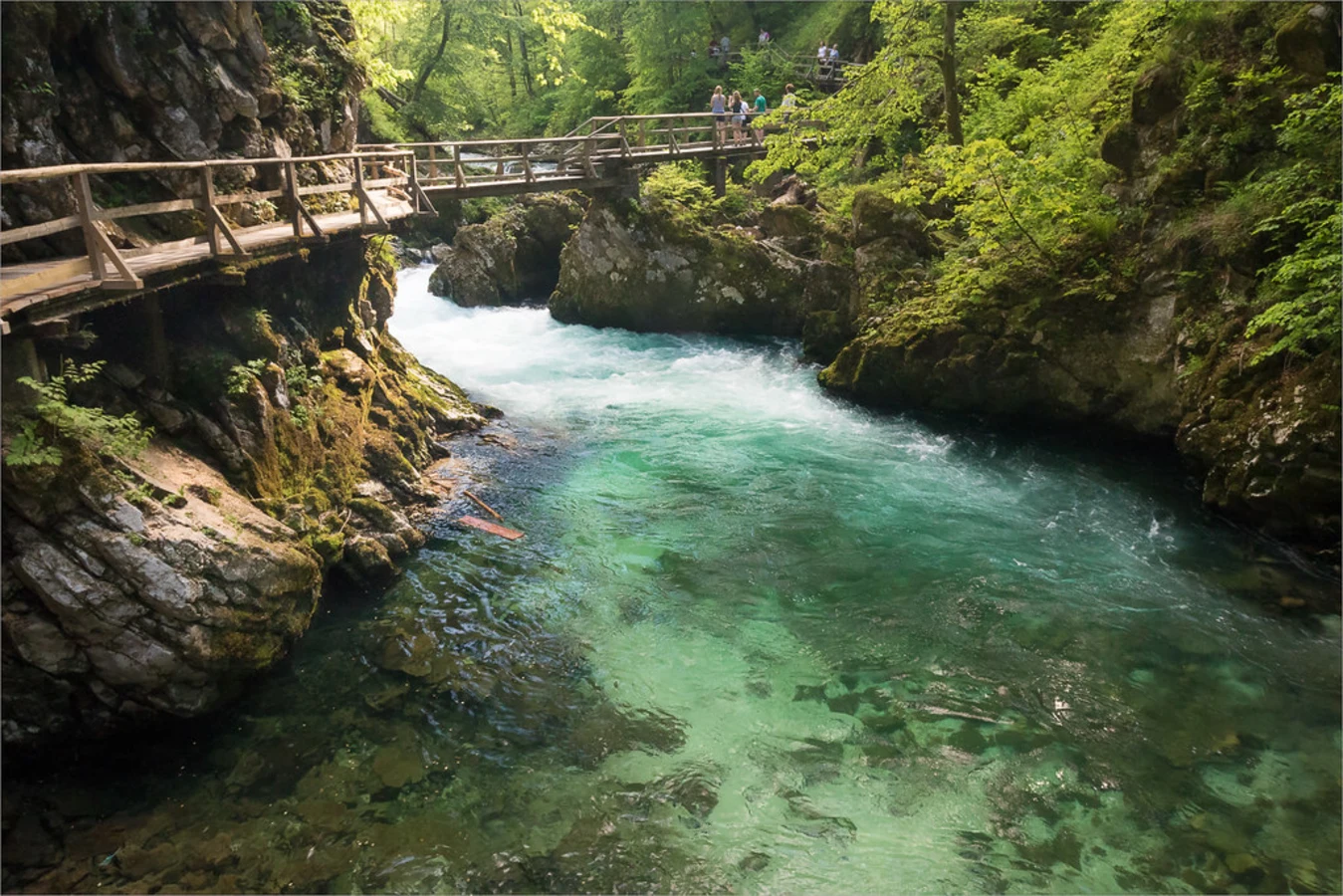 Gorges de Vintgar, Slovénie