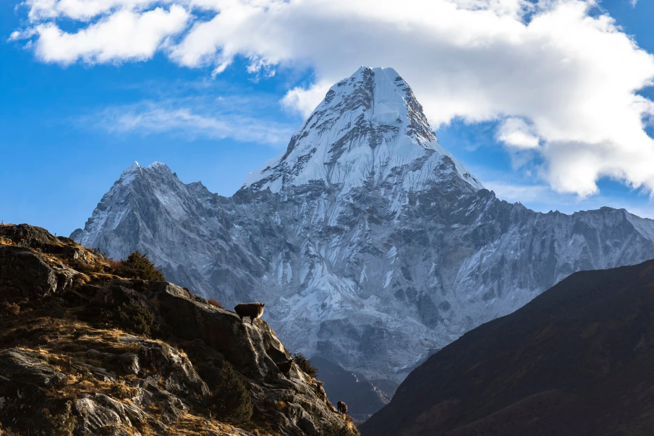 Ama Dablam, Népal