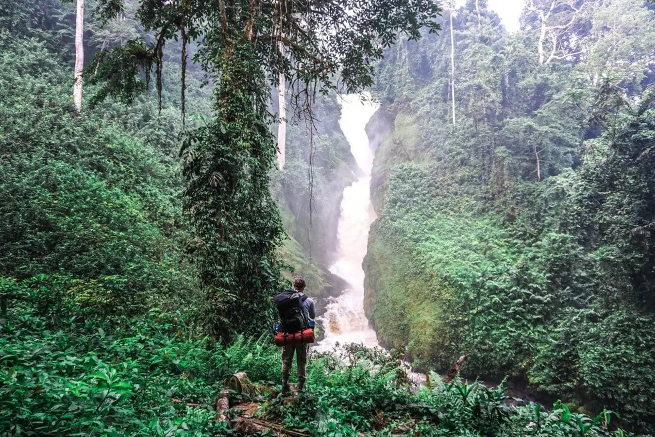 Parc national d'Ivindo, Gabon