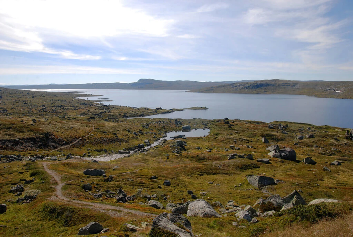 Hardangervidda, Norvège