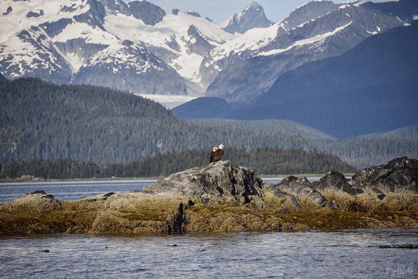 Forêt nationale de Tongass, États-Unis