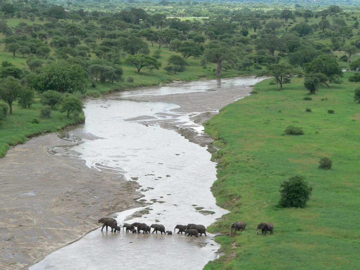 Parc national de Tarangire, Tanzanie
