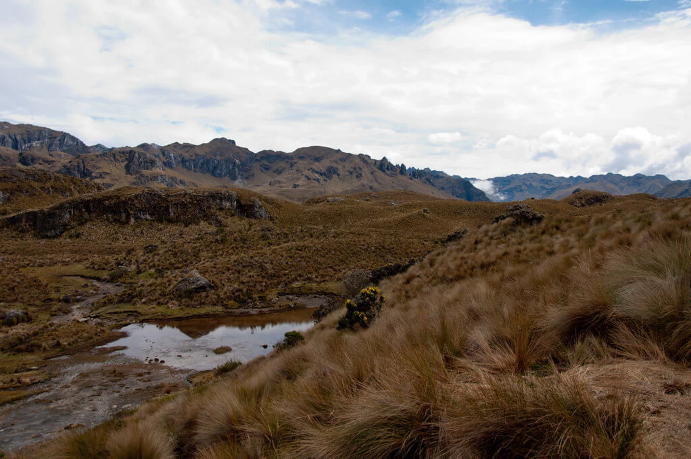 Parc national Cajas, Équateur