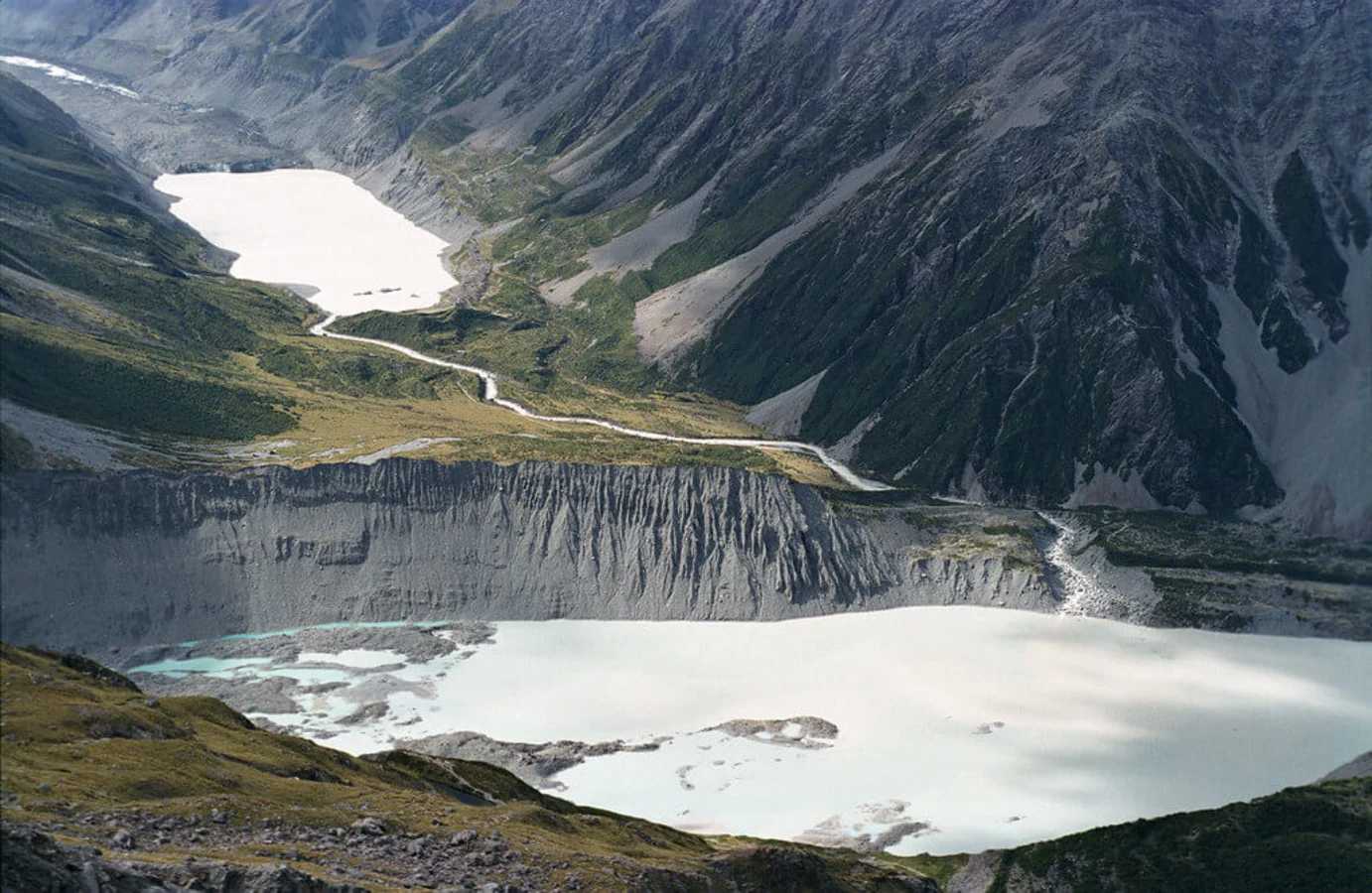 Glacier Hooker, Nouvelle-Zélande