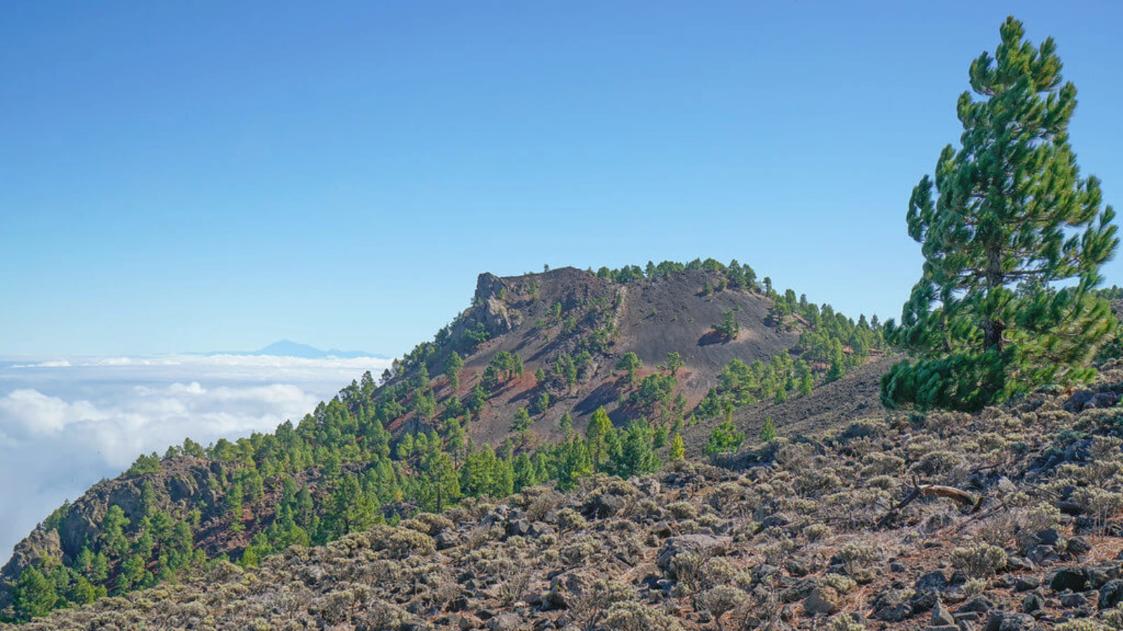 Pico Nambroque, Espagne, Canaries