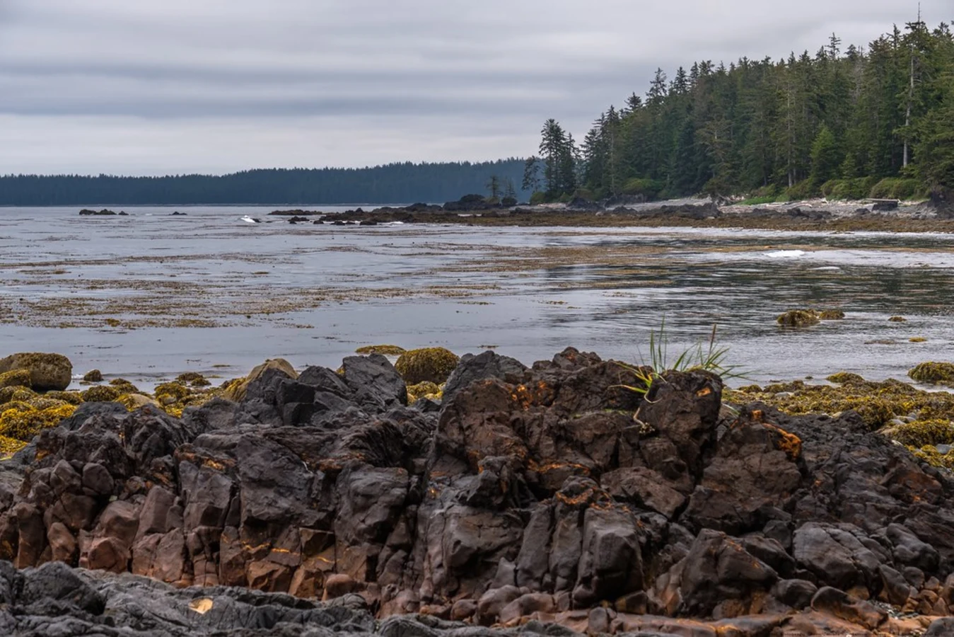 North Coast Trail, Canada