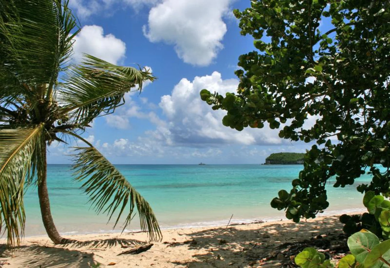 Anse de Mays, Guadeloupe
