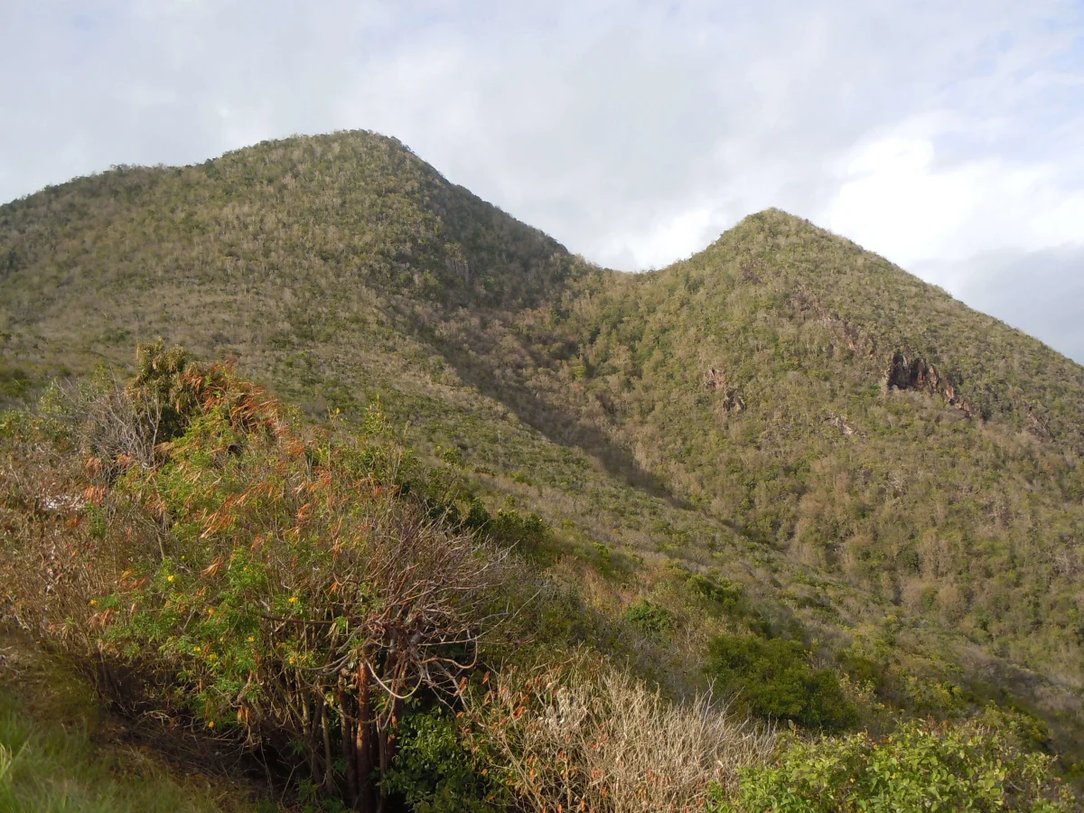 Morne Larcher, Martinique