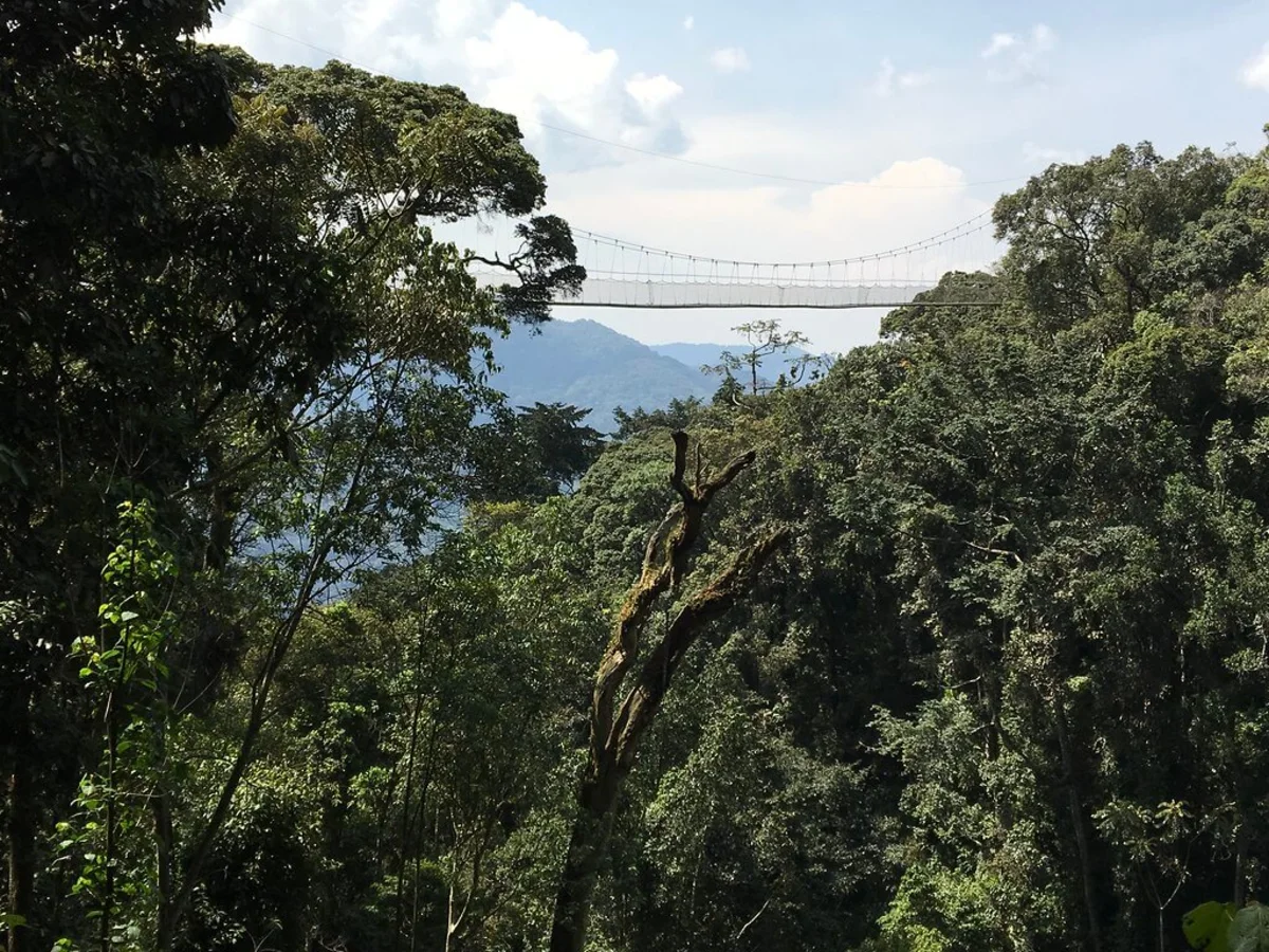 Parc national de Nyungwe, Rwanda