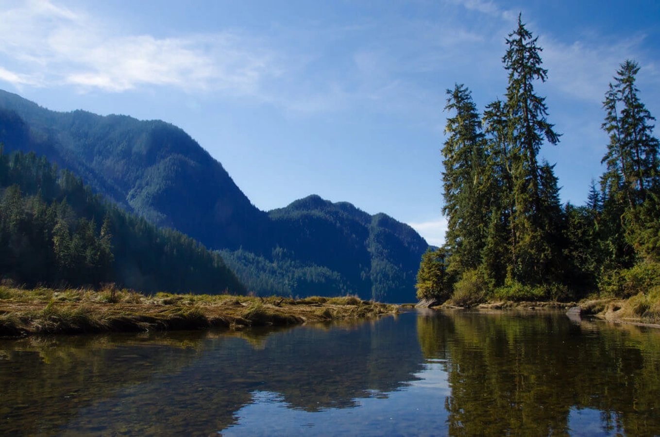 Forêt pluviale de Great Bear, Canada