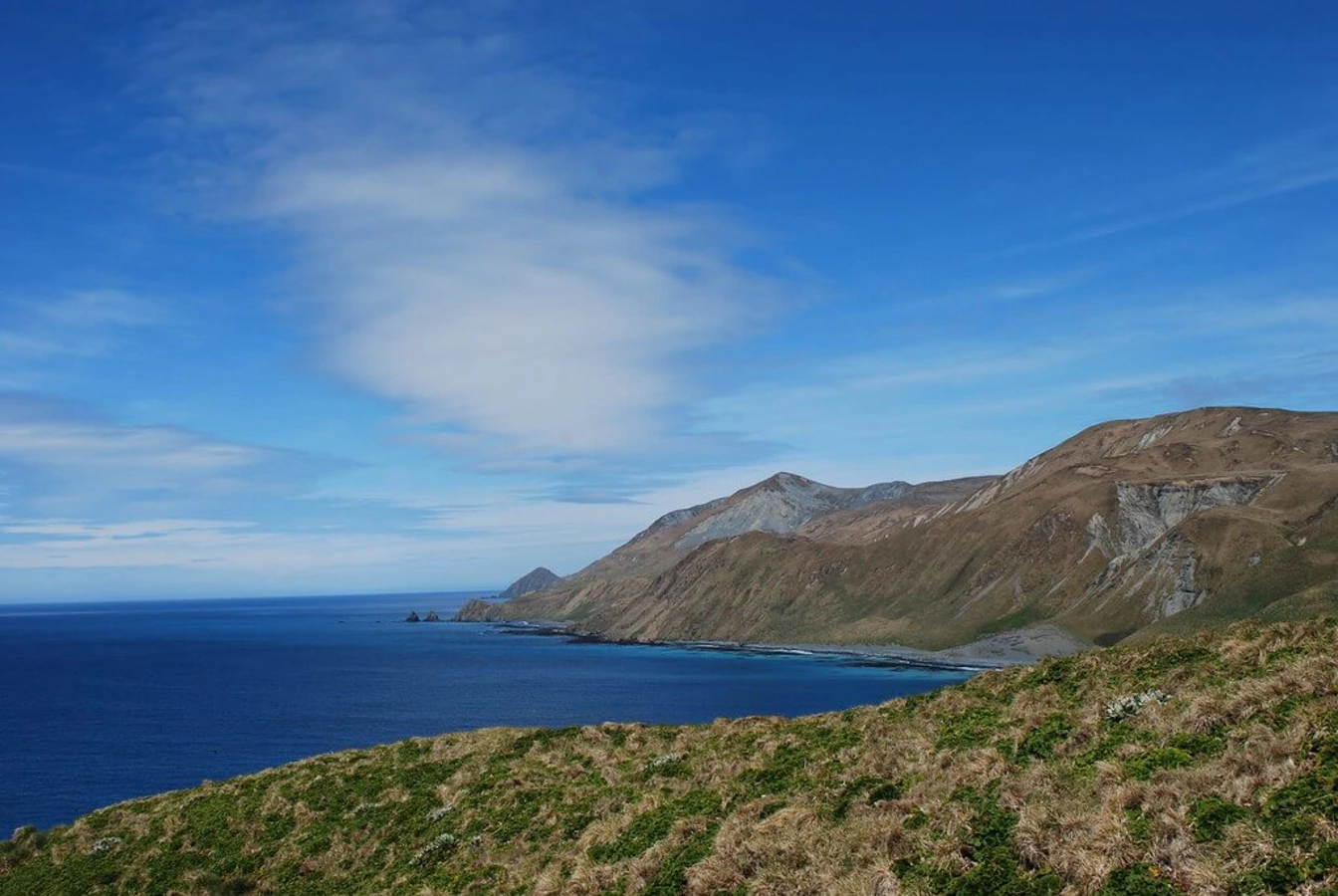 Île Macquarie, Australie, Tasmanie