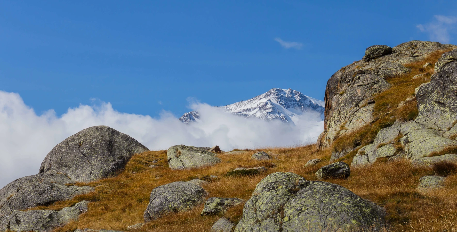 Parc national du Stelvio, Italie