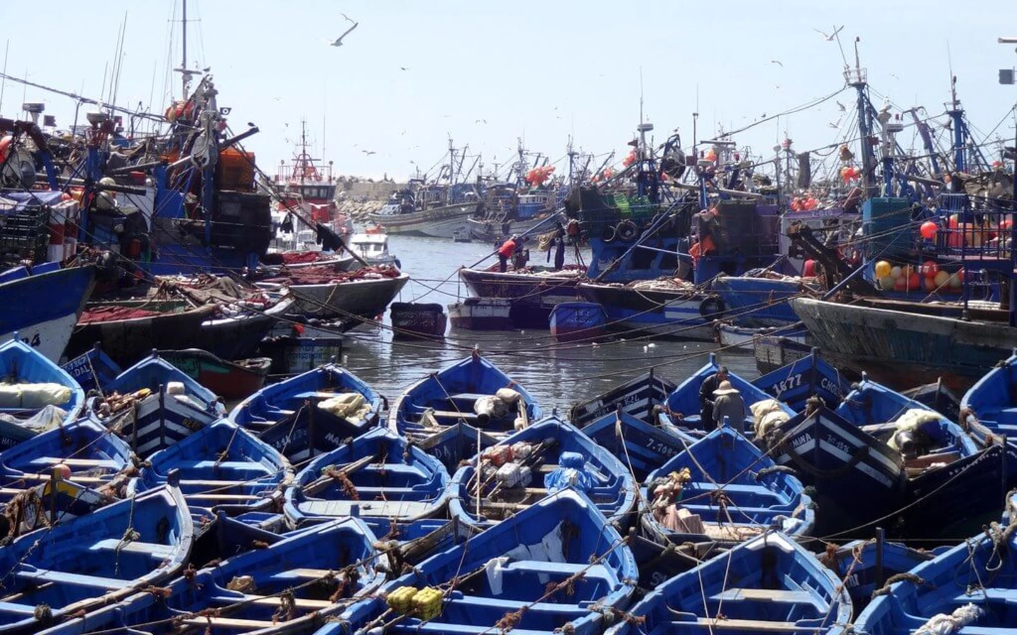 Essaouira, Maroc