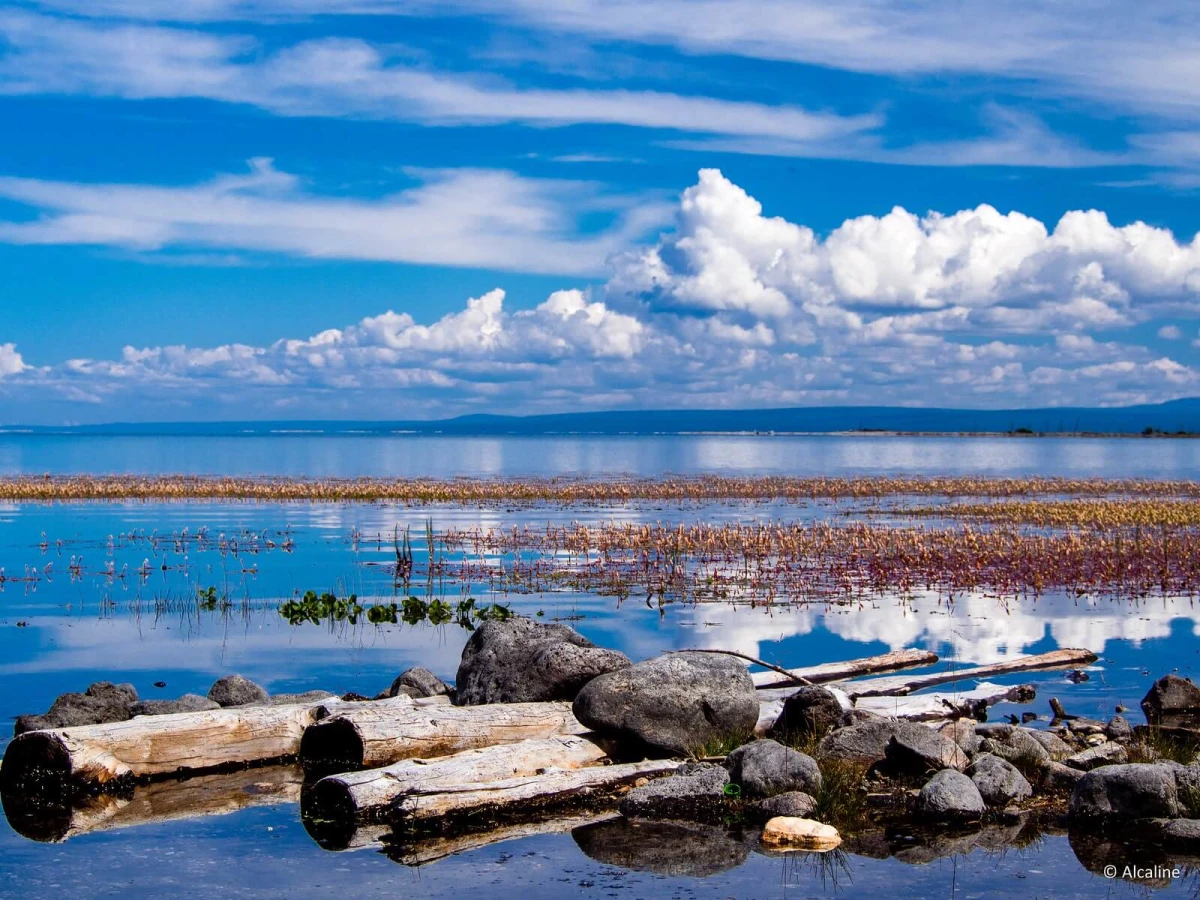 Lac Khovsgol, Mongolie