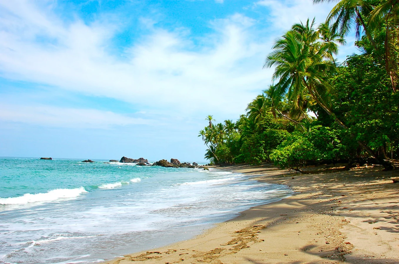 Péninsule d'Osa, Costa Rica