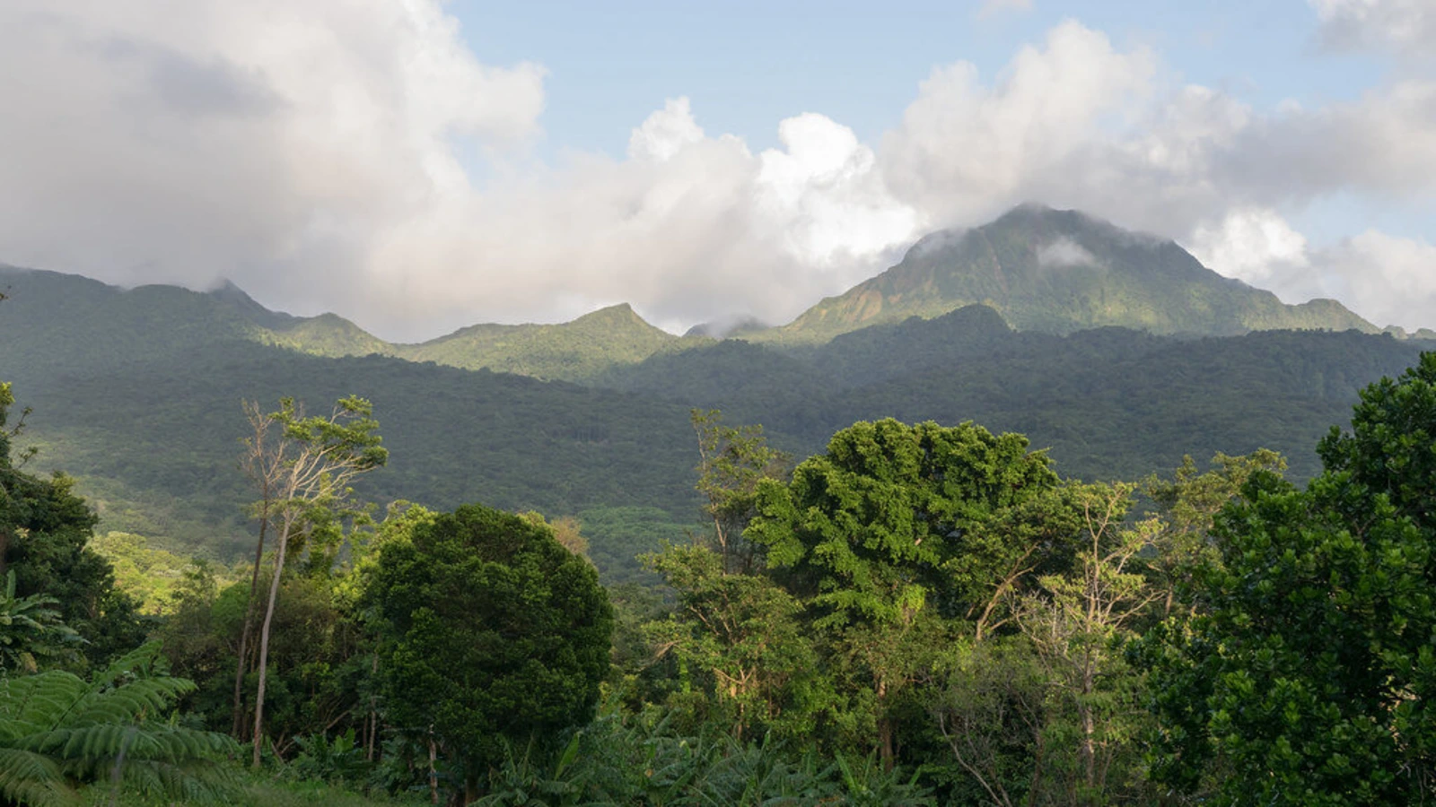Waitukubuli National Trail, Dominique