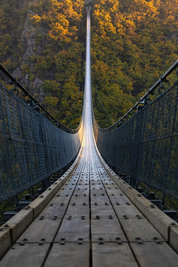 Geierlay Suspension Bridge, Allemagne