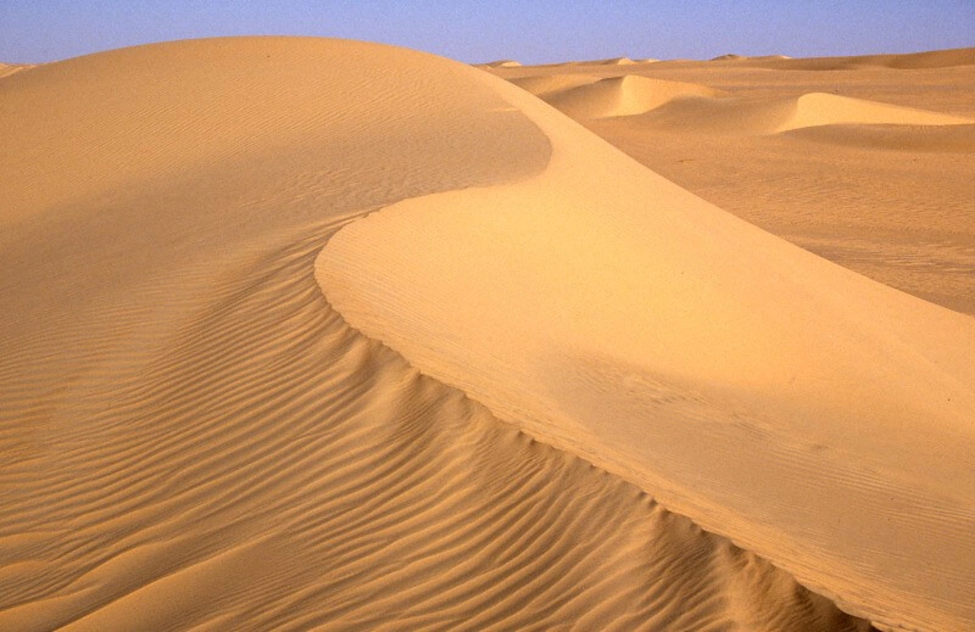 Grand Erg de Bilma, Niger