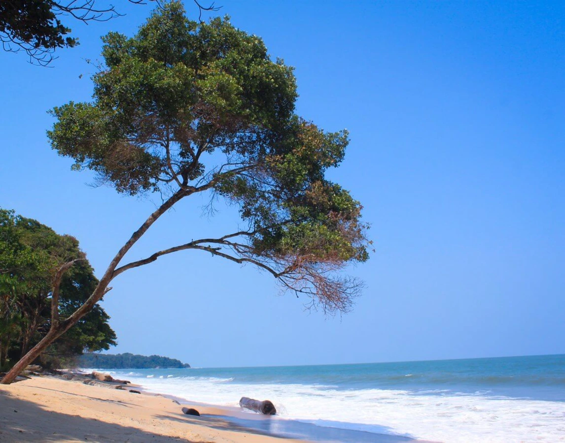 Parc national de Pongara, Gabon