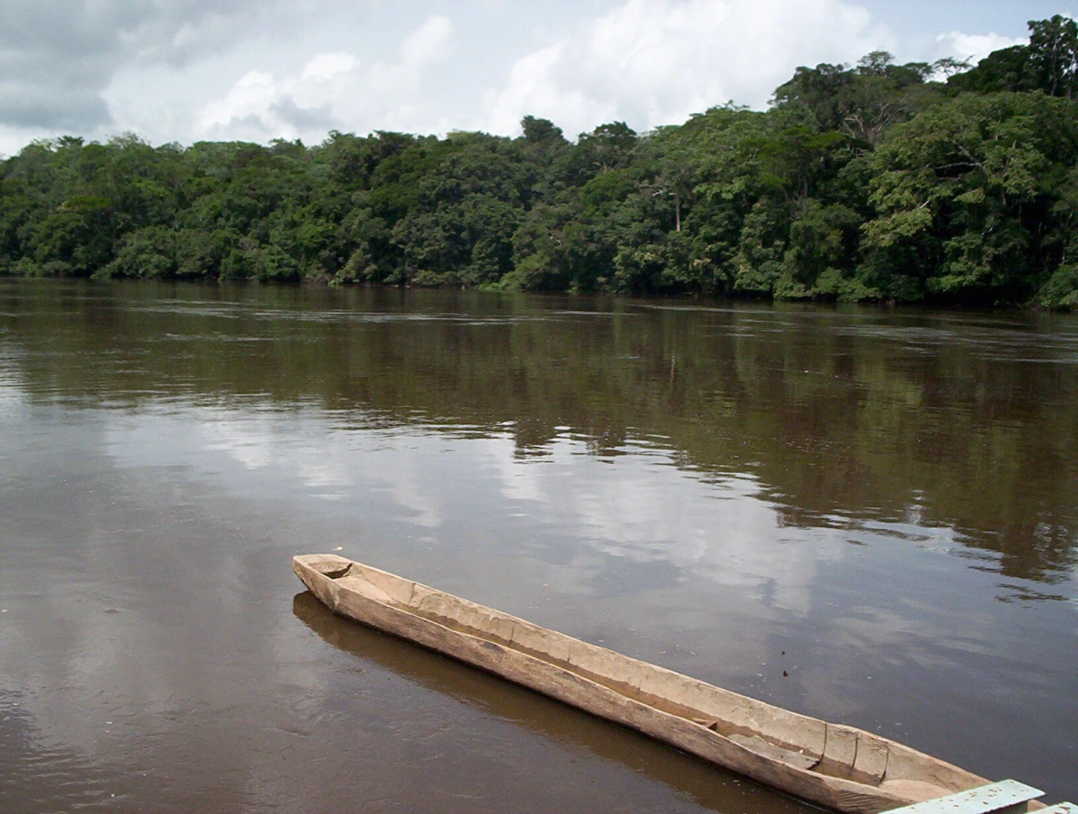 Réserve de faune du Dja, Cameroun