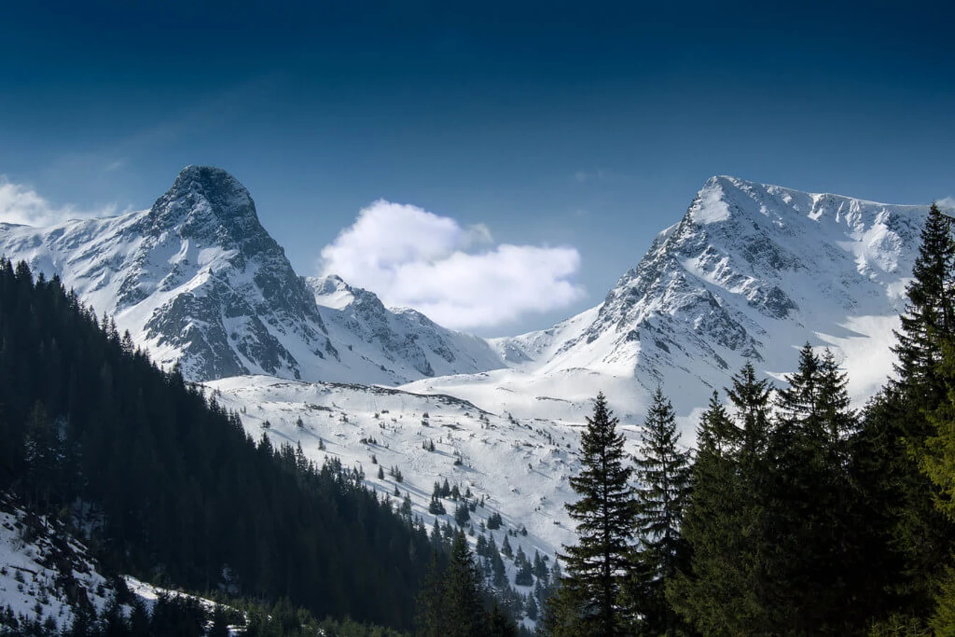 Monts Fagaras, Roumanie