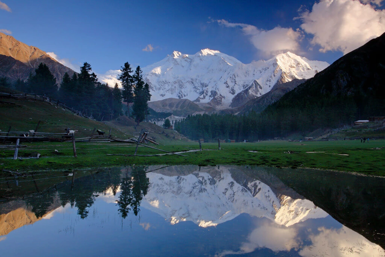 Prairie des fées, Pakistan