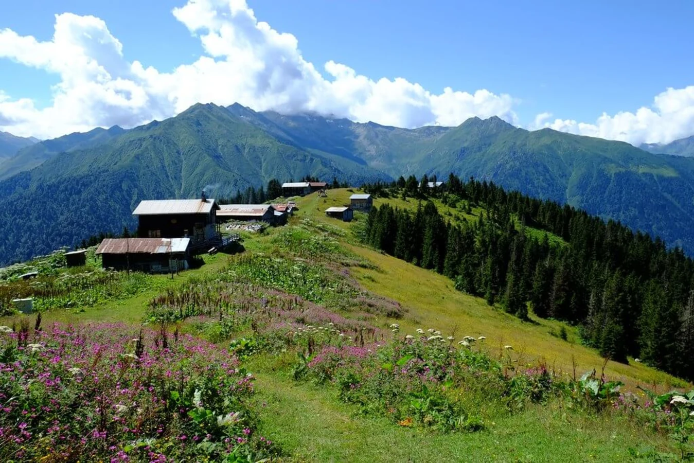 Pokut Yaylasi, Turquie
