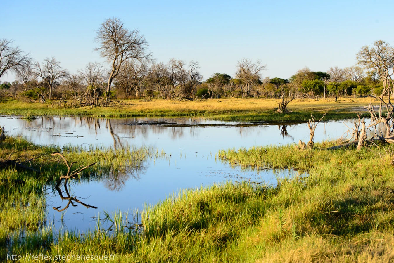 Khwai River, Botswana