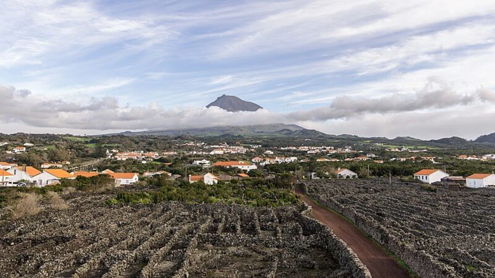 Paysage viticole de l'île du Pico, Portugal, Açores