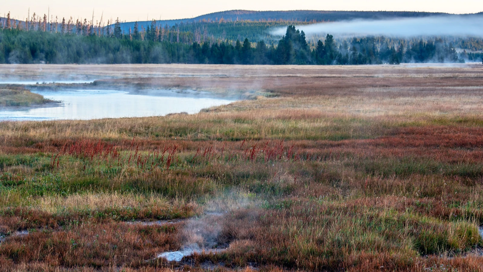 Gibbon River, États-Unis